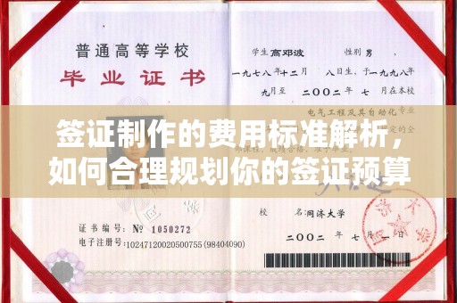 玉泉签证制作的费用标准解析，如何合理规划你的签证预算