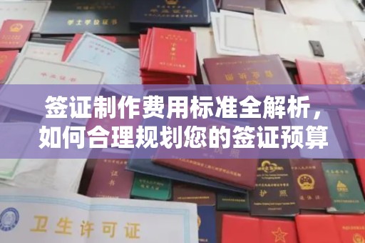 玉泉签证制作费用标准全解析，如何合理规划您的签证预算？
